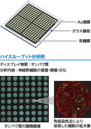 バイオセルアレイ使用例